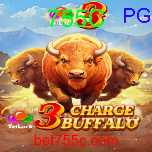 3ChargeBuffalo